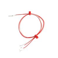 Dtecteurs  rsistance en platine avec fils allongs, couche mince - Pt100 Classe B-2-fil - longueur de cble tendue de 300 mm